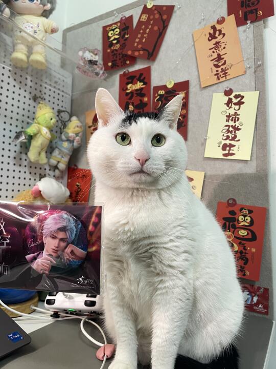 我朋友说听到了牛哞的一声