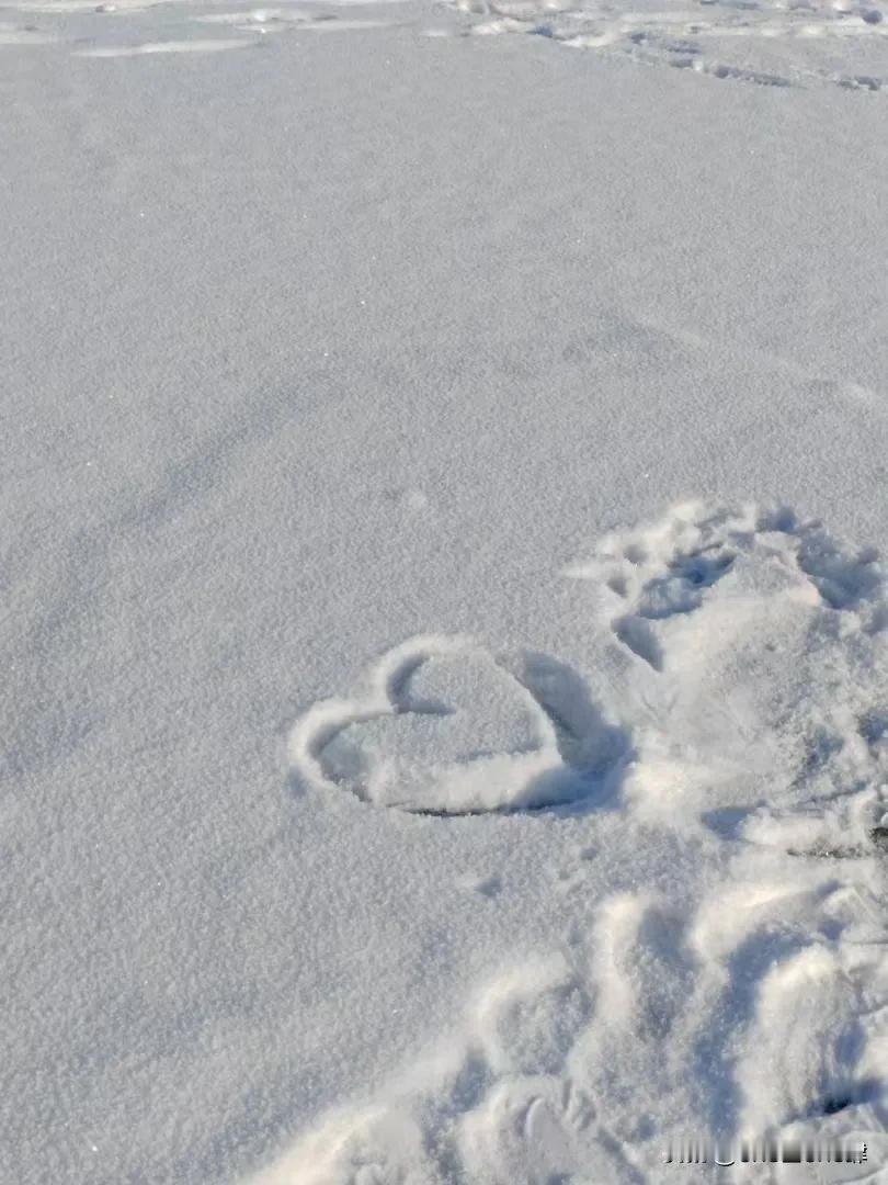 随拍记录生活大冬天，北方也有乐趣，虽然天寒地冻，也挡不住我去滑雪⛷。刚开始需要多