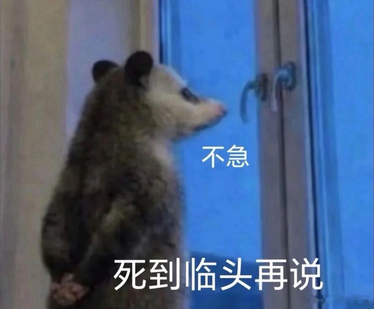 邻居家开始搞全屋定制了，用的不晓得是什么“高端”颗粒板，反正味道很重特辣嗓子。昨