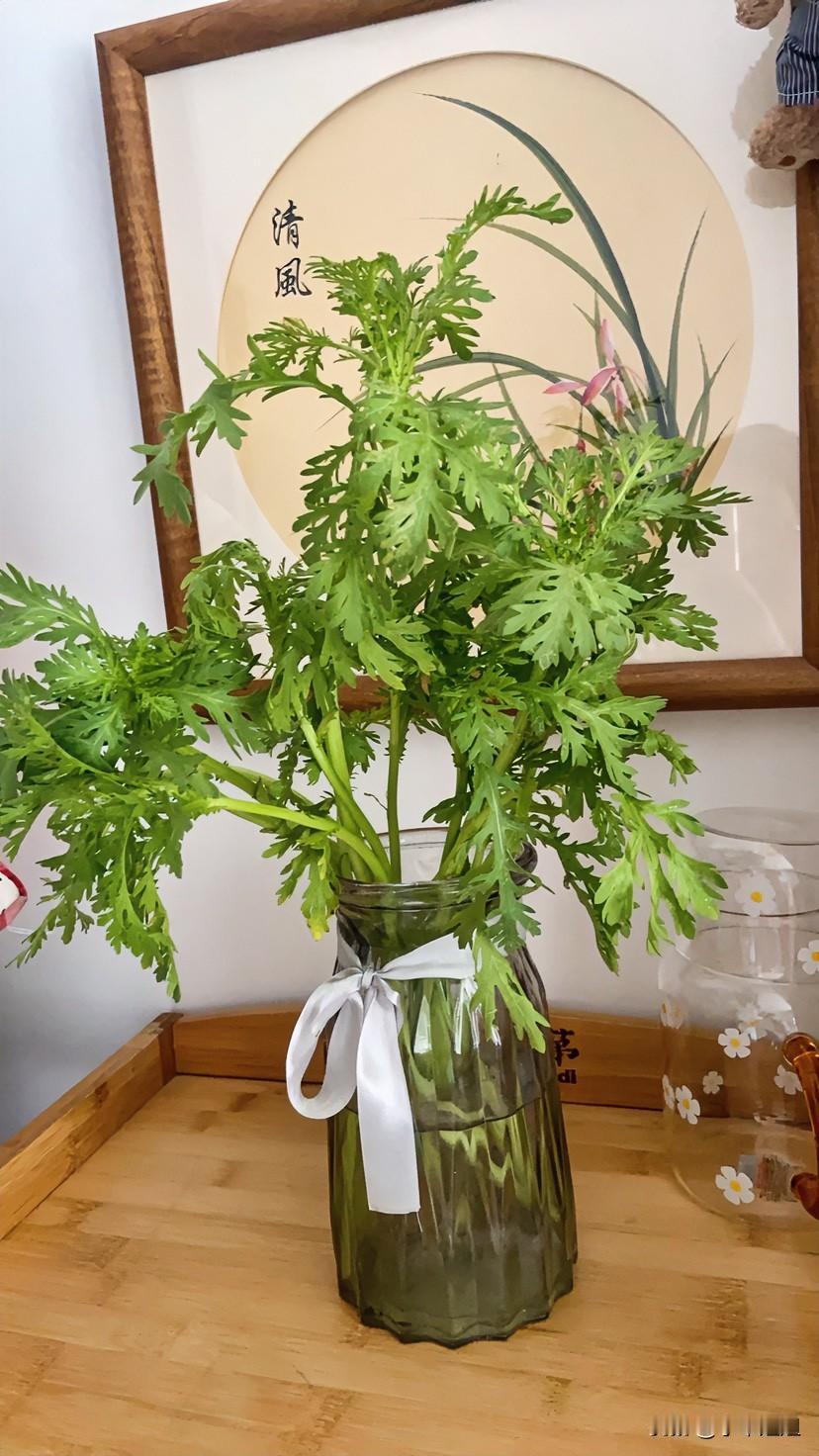 我看自媒体朋友们都说把这个茼蒿插在水里，能开出像奥斯菊一样的花朵！
我也相信了！