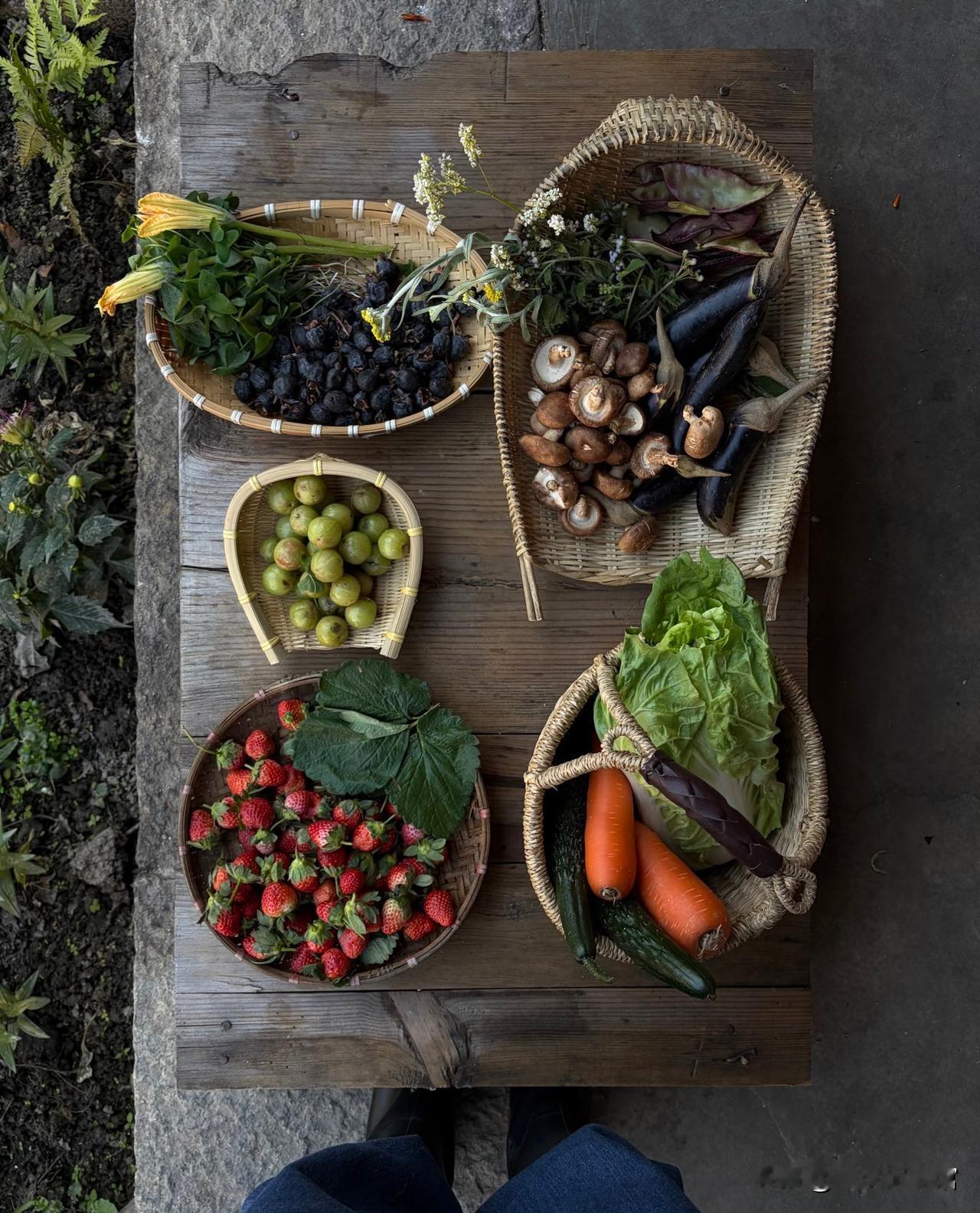 无数人向往云南，总在计划老了要去养老？一位资深本地担忧告诉我：别再神化云南生活哪