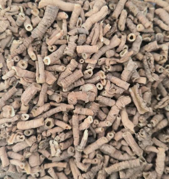 春天是养肝补肾的黄金期，也是很多男人“掉链子”的高发季

最近有读者留言说，开春