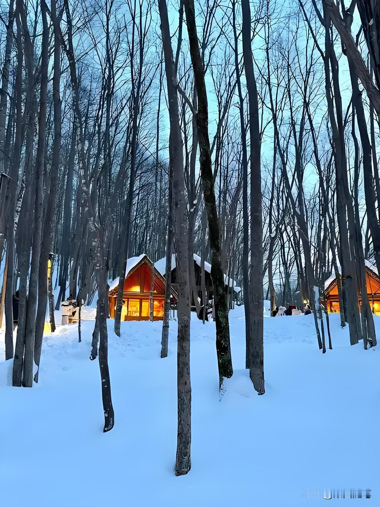 你怎么看今年春节由过去的7天假期延长为今年的九天，这是一个十分利好的消息，预示着