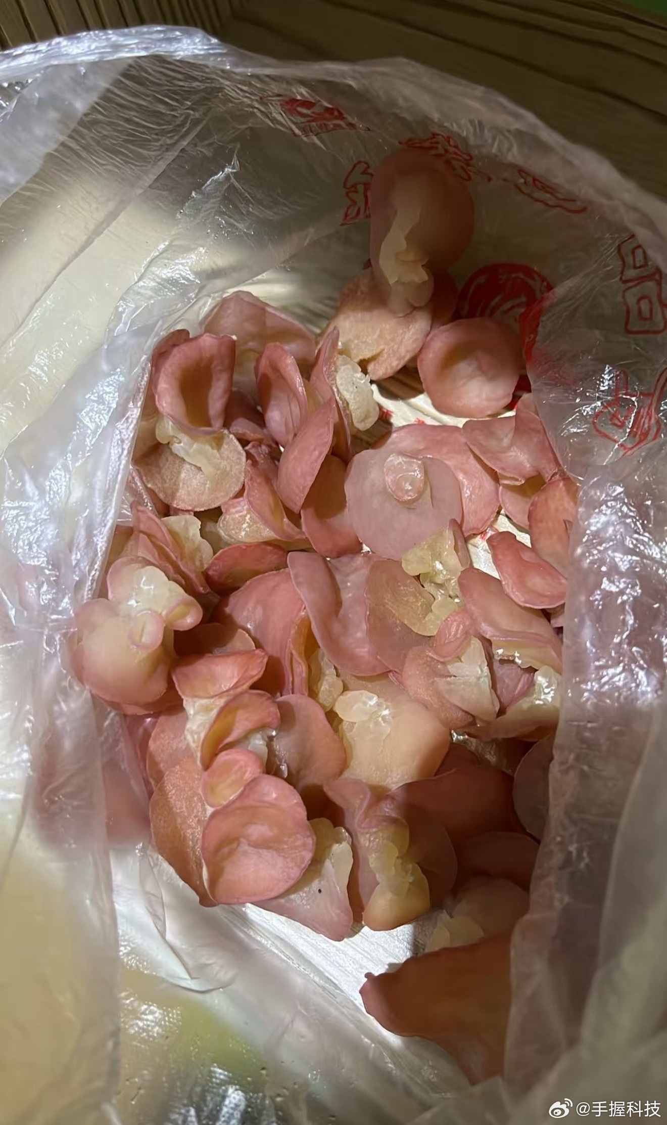 盒马粉木耳标签被指低俗擦边一看就是用AI做的图，AI则是学习语境被污染了…很多人