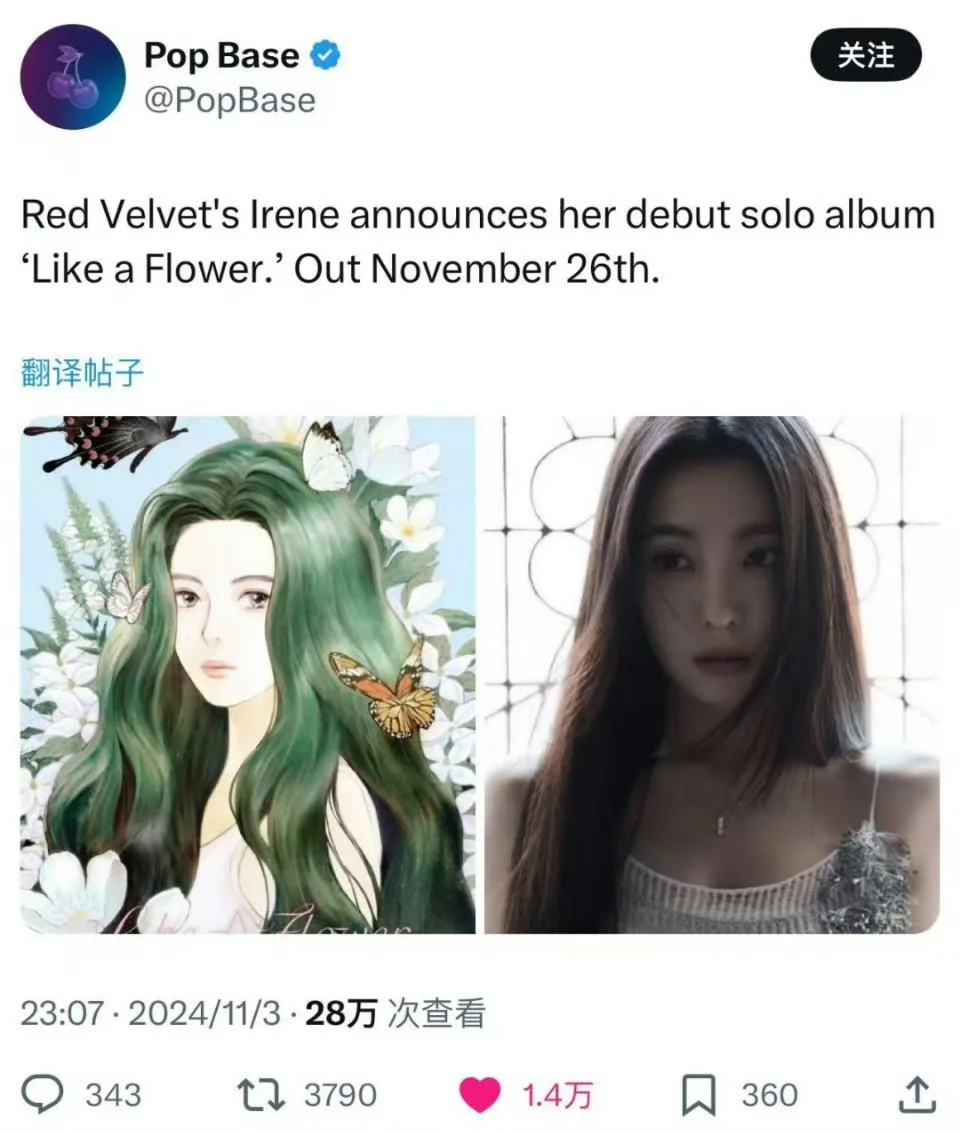 裴珠泫即将solo