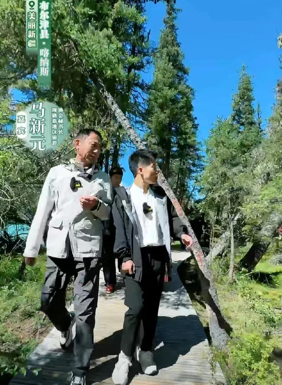 美翻了！喀纳斯湖美丽的像一幅画！

湖水清澈见底！蓝蓝的！

终于理解了董宇辉曾