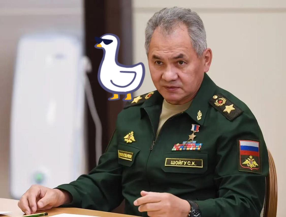 只为借“北斗”？这把格局看小了！绍伊古这次“闪电访华”，确实带着火烧眉毛的急迫感