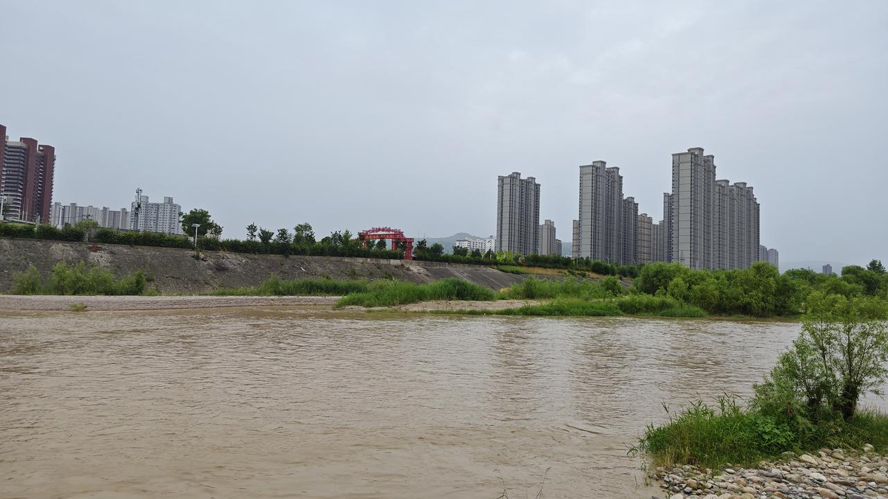 今早晨练完，我来到渭河边。以前几乎天天走这条小道，好让身体接接地气，有几个月了和