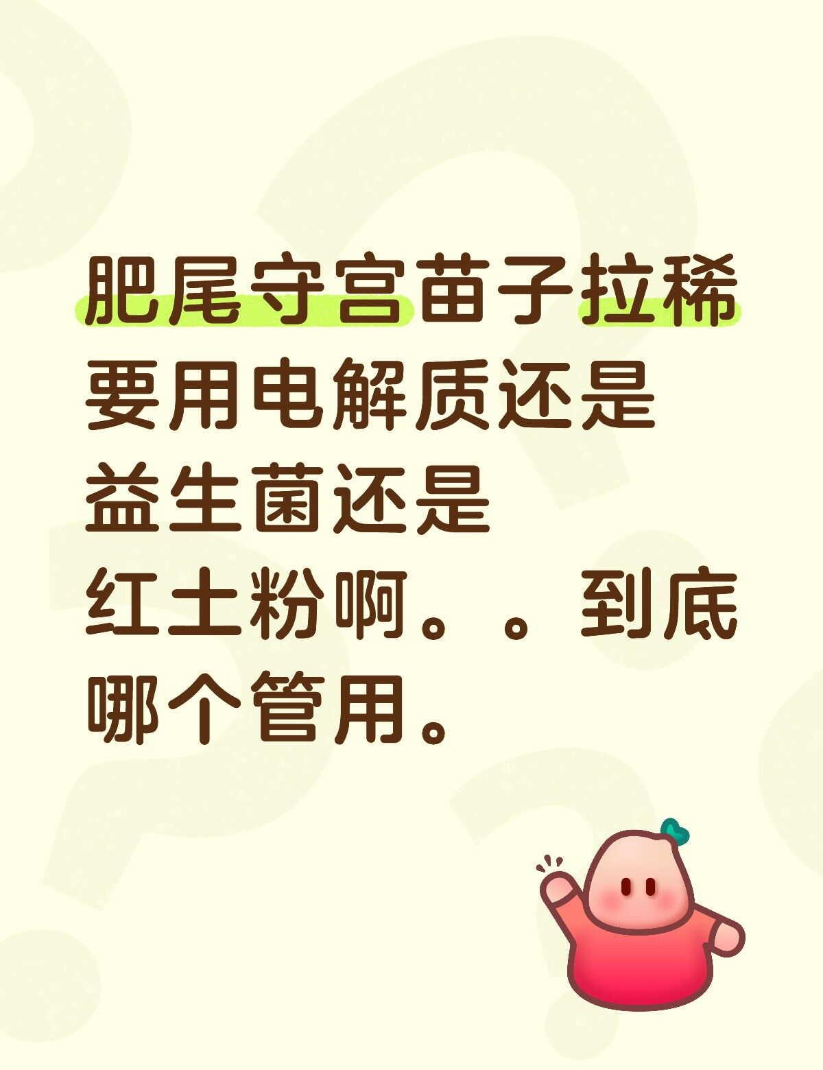 肥尾守宫拉稀怎么办
到底用哪个？守宫 守宫来啦 爬宠 小宠 问题解决