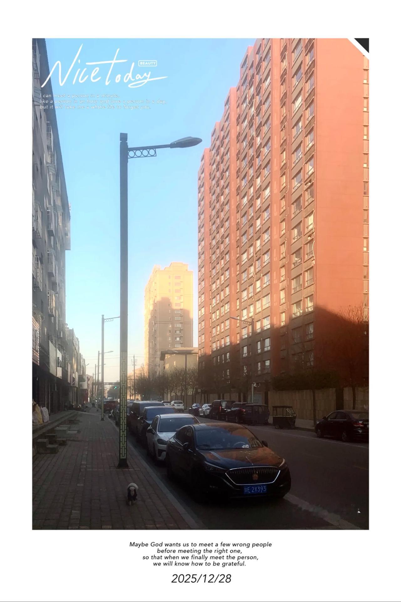 ‌今岁无寒祇有暄，
腊前浑似半春天。
         —  杨万里