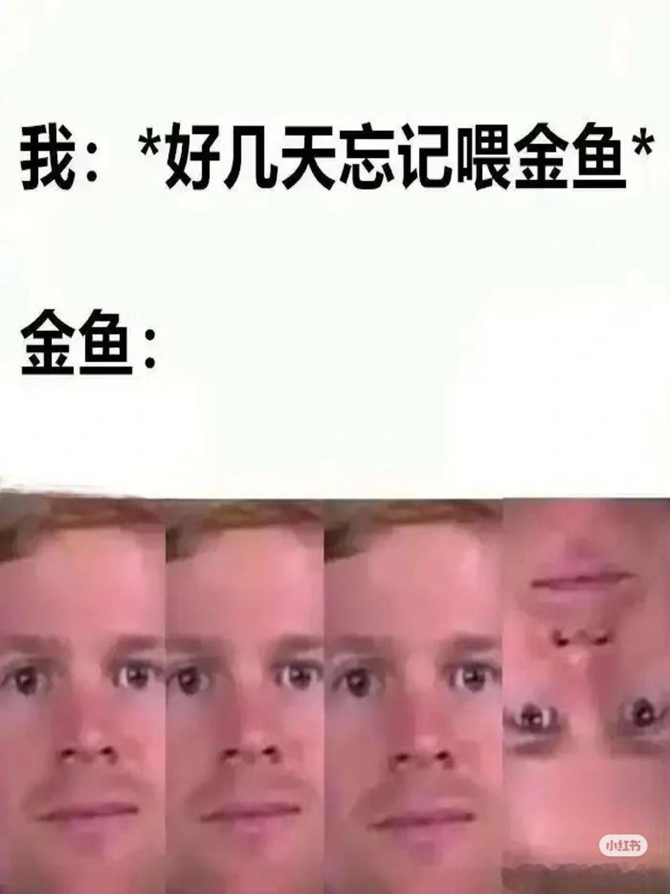 翻面 ​​​