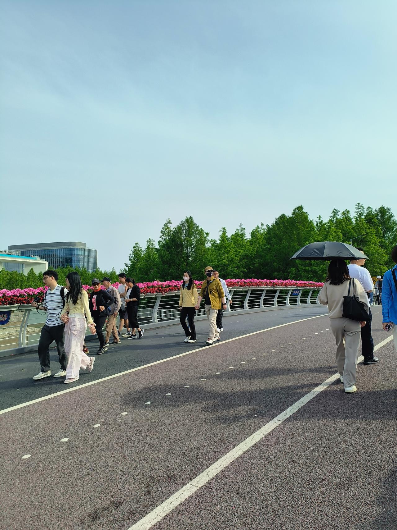 继续分享去年花展期间
前滩公园拍到的照片…🌸

拍摄时间~2025.5.4
