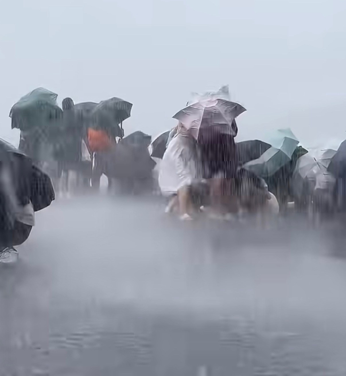 白海豚 上班名字叫的很好听，威力确认大……台风破坏性非常强，也非常危险，一定要引