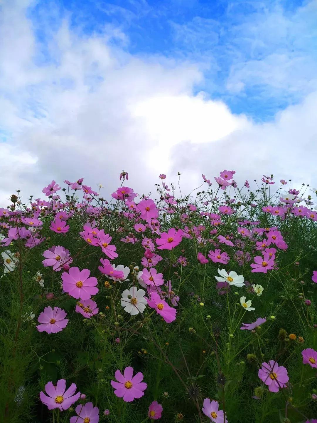 看到一位条友80年代师范毕业，每月60元工资，夫妻俩一年下来存300元，也有同感
