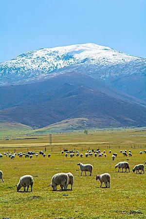 年少轻狂不识愁，懂事方惊已中年
 
那些年，我们以为青春是挥霍不尽的资本，是永不