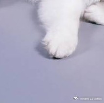 阳光信用 l森林驿站 怀着一颗感恩的心，去看待身边的人和事，你将会发现自己是多么