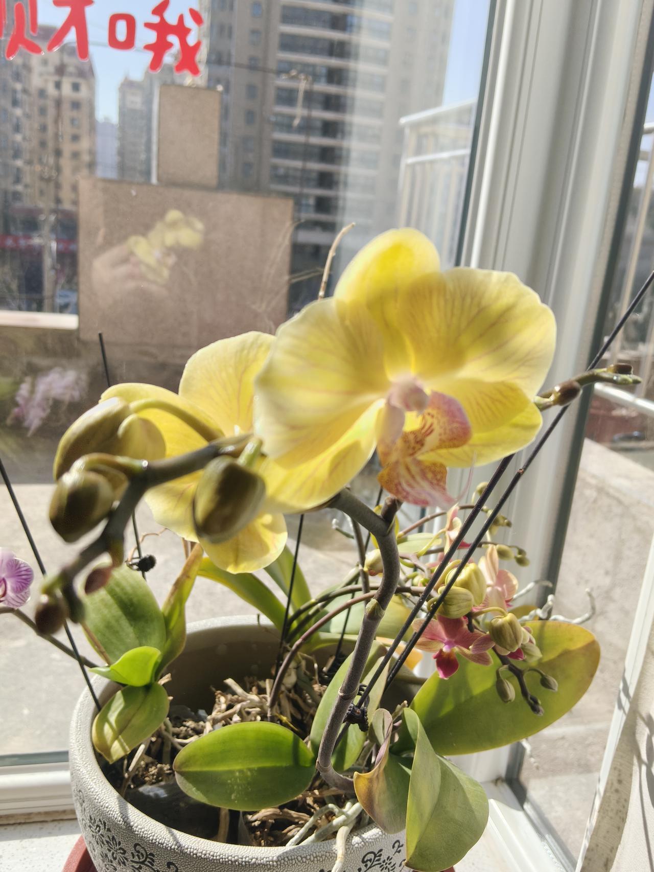 作法自毙的北府军大将

刘毅是北府军的大将，他不满于另一位将领刘裕的压制，起兵反