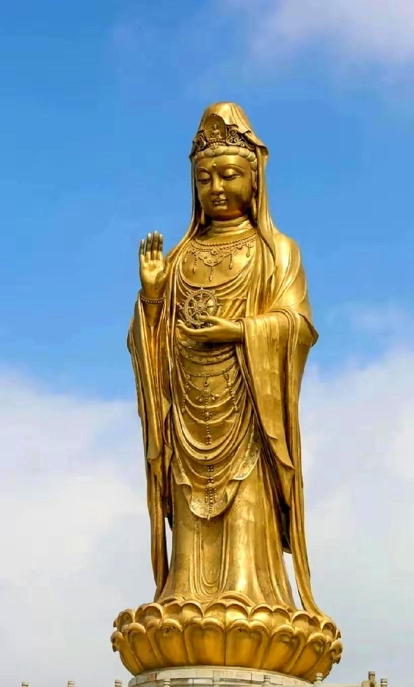 包邮区的朋友们，前两天是不是连夜把阳台上的多肉都搬进屋了，结果台风“巴威”又双叒