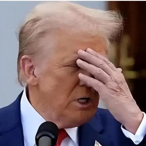 2025 年 11 月 4 日这天，特朗普的一番涉华言论又成了国际舆论的焦点 —