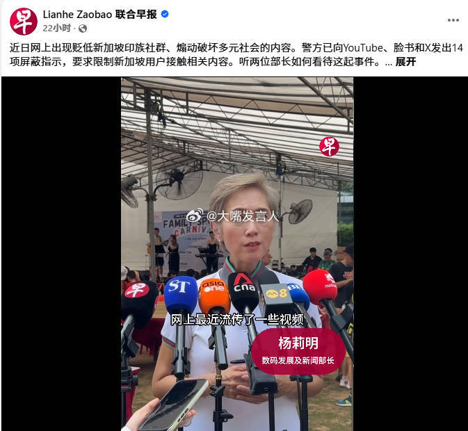 新加坡，“~网上出现贬低新加坡印族社群、煽动破坏多元社会的内容，~~已向YouT