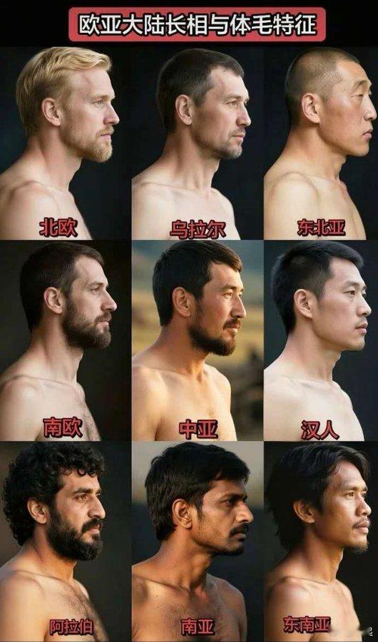 欧亚大陆各人种外貌特征 ​​​