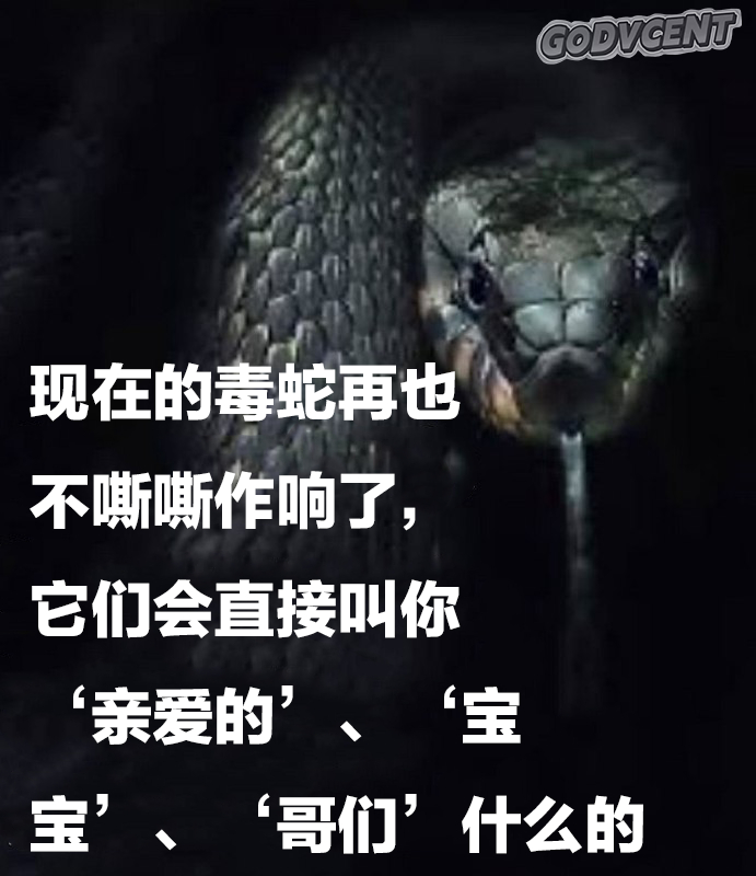 分享图片 ​​​