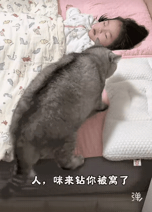 我反反复复看了好几遍这条视频，瞬间勾起了小时候的回忆。下雨天夜里，在外淋了雨的小