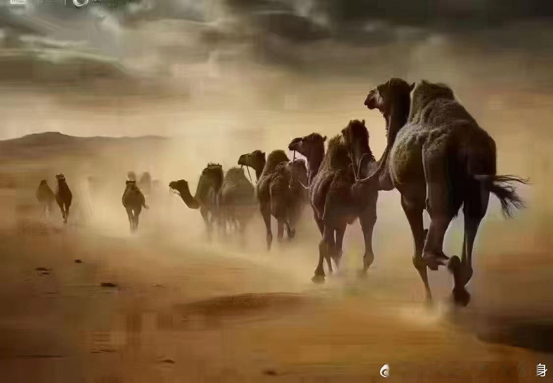 马问骆驼：你是们‬怎么越穿‬沙漠的？骆驼‬说：一走直‬，马又问：还有呢？骆驼答：