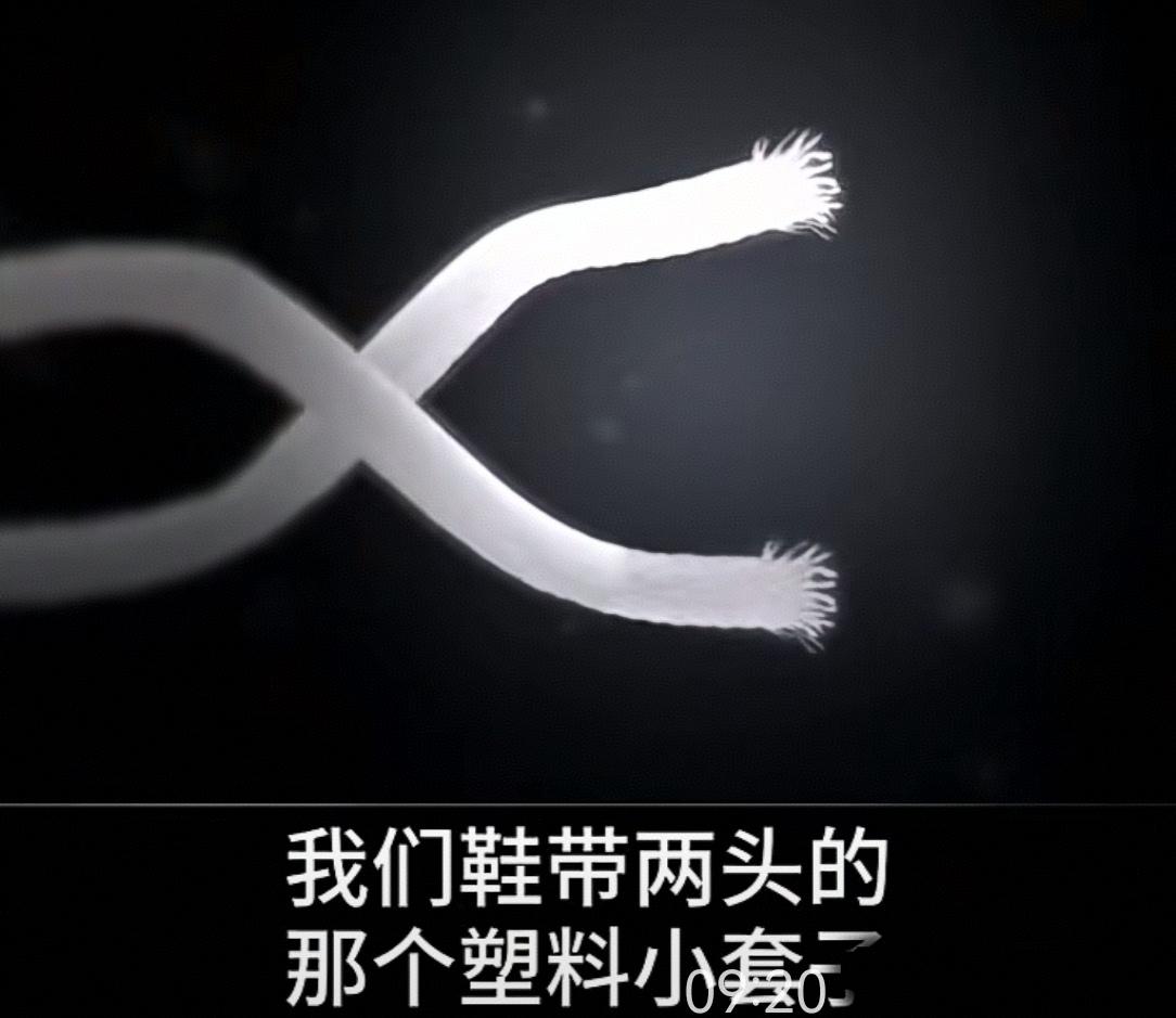 诺奖得主揭秘：决定你寿命的，从来不是基因。

你有没有想过，为什么有些人烟酒不忌