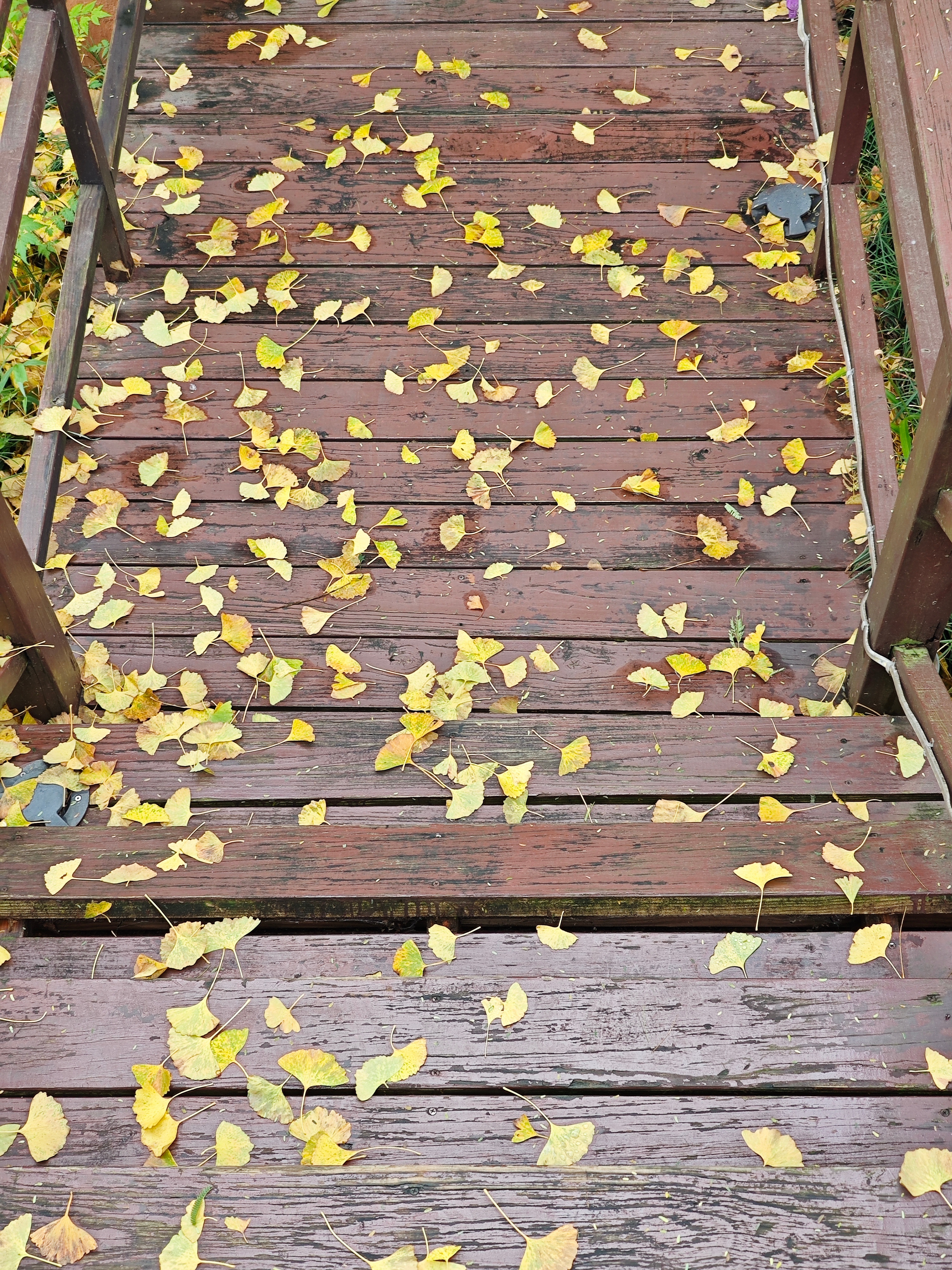 昨晚上下雨，这酒店也没灯，直接就是飞起，衣服上那个痕迹比汽车安全测试里面的假人还