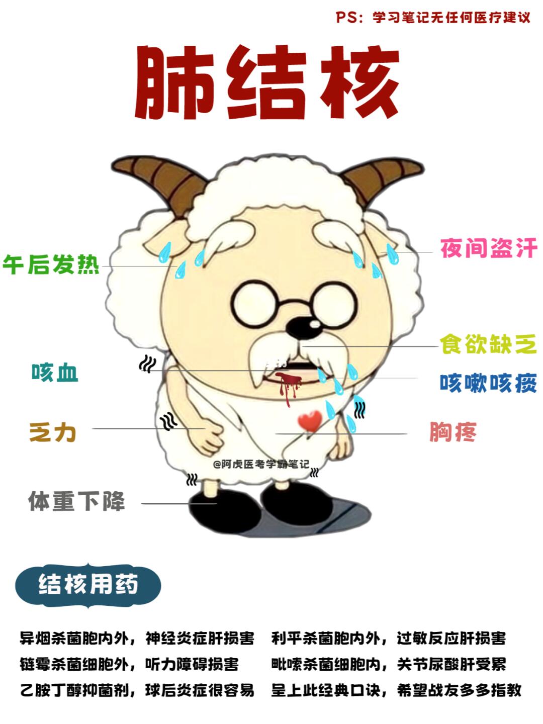 阿虎医考学霸笔记：肺结核