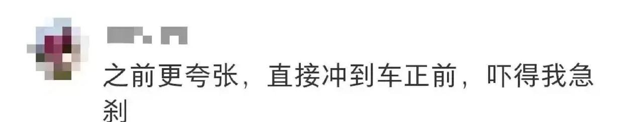 南通森林野生动物园门口，最近出现了一群“拦路卖萝卜”的小贩，这事儿让人捏一把汗！