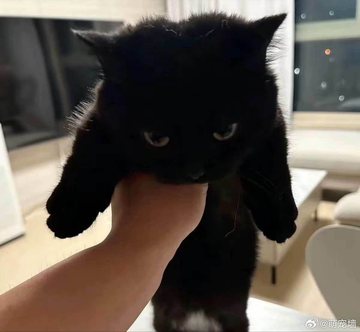 如果你现在放下我的话 我就考虑原谅你 