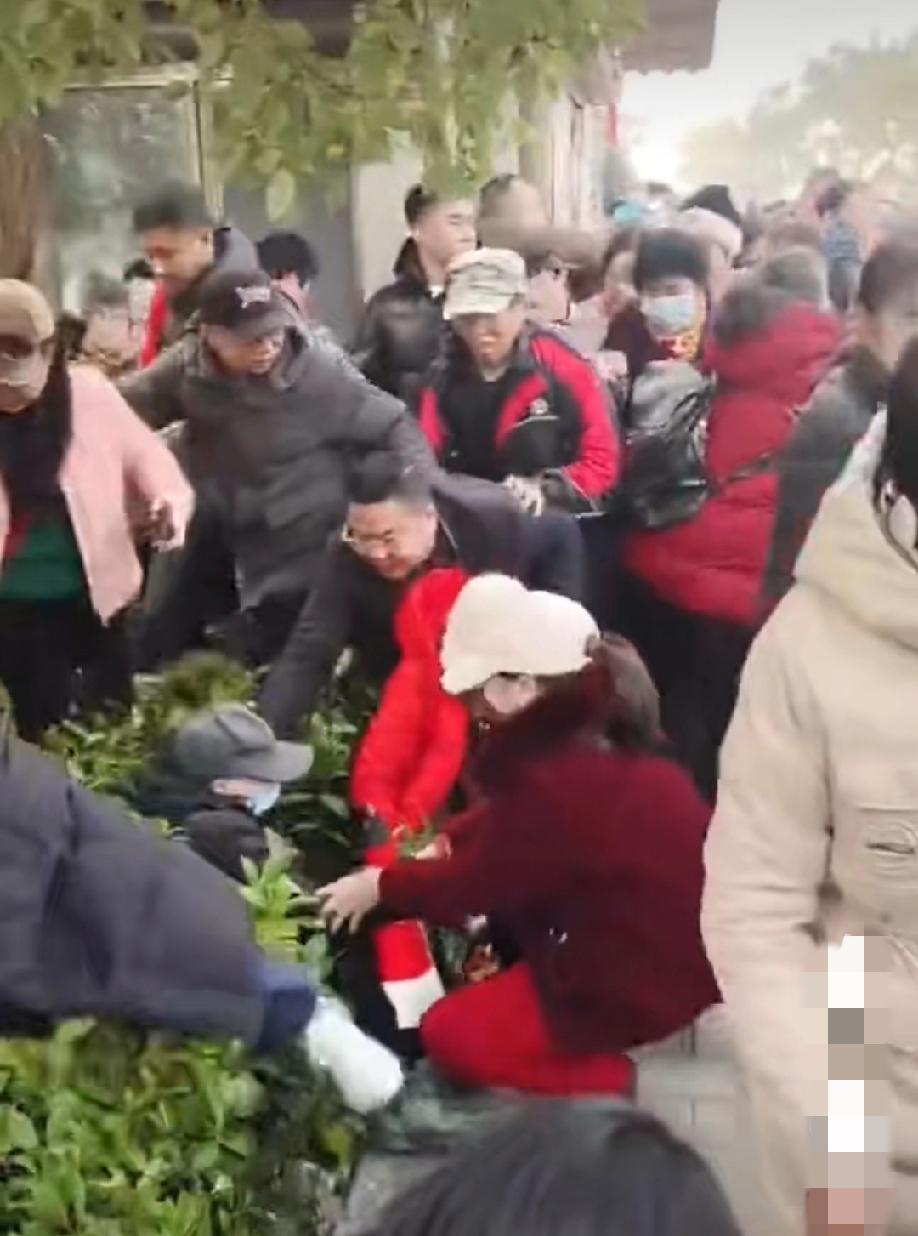 重庆。网红“十七”在两江新区蔡家岗街道举人楼举办“刨猪汤”活动，由于来吃杀猪饭的