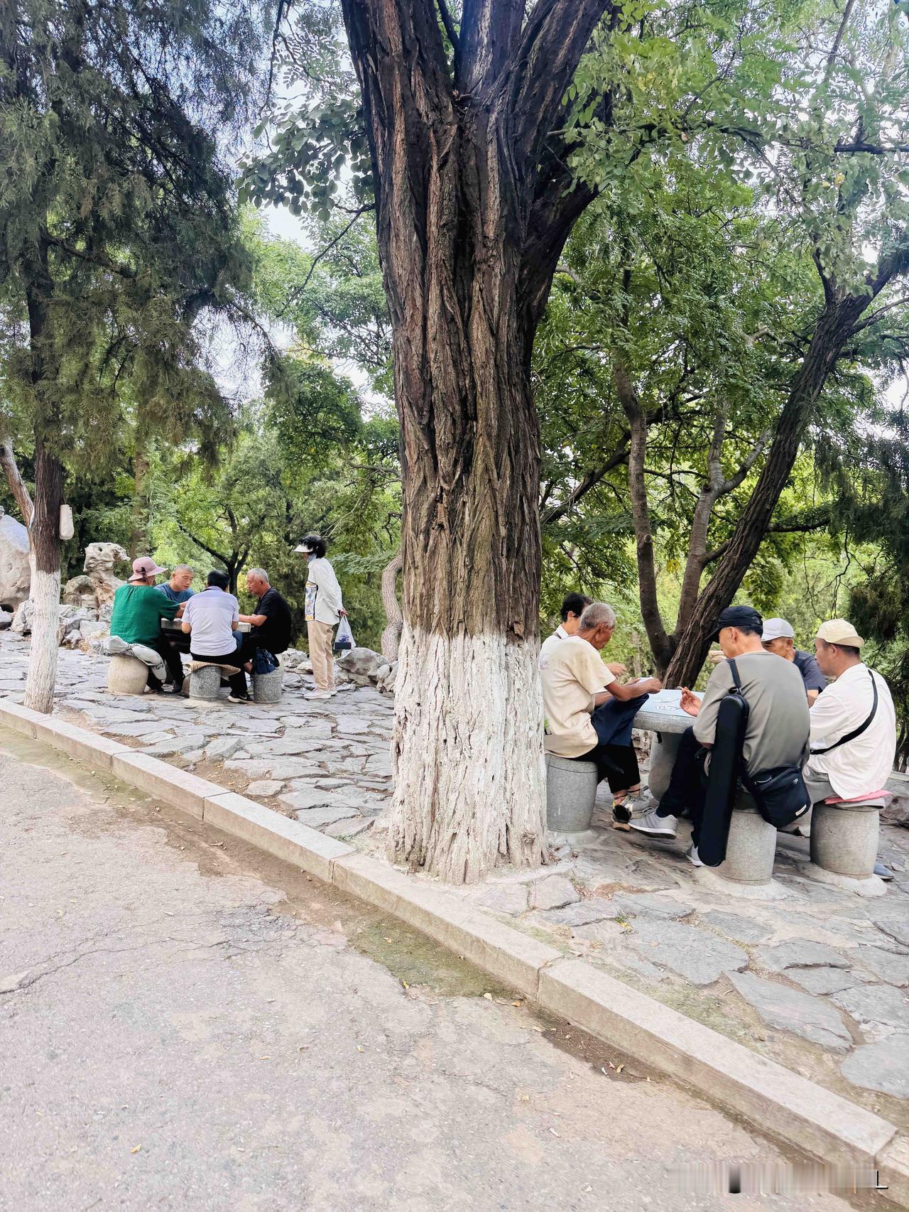 我发觉，三伏天里过得最为惬意的，当属我们这些按月领取养老金的退休人员！

大连今