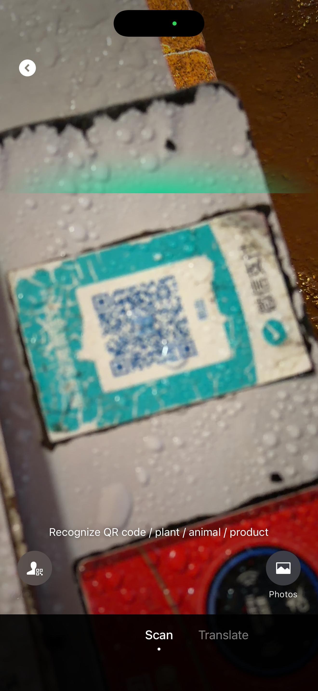 这手机，那手机这像素那像素连个二维码都扫不上，辣鸡  ​​​