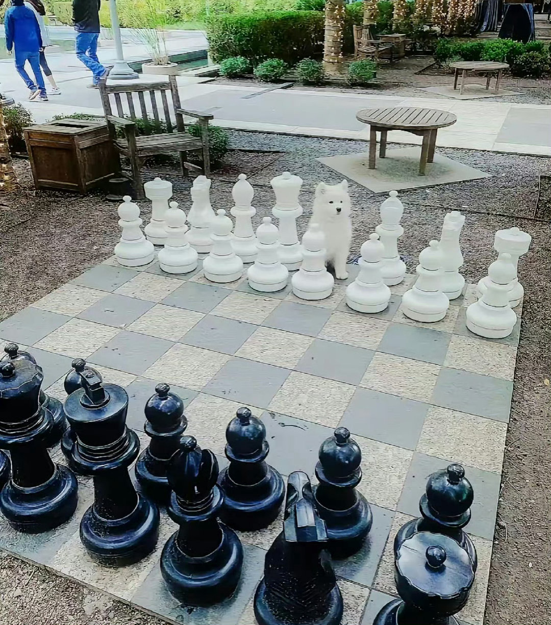 当你简历造假却依然得到了这份工作 ​​​