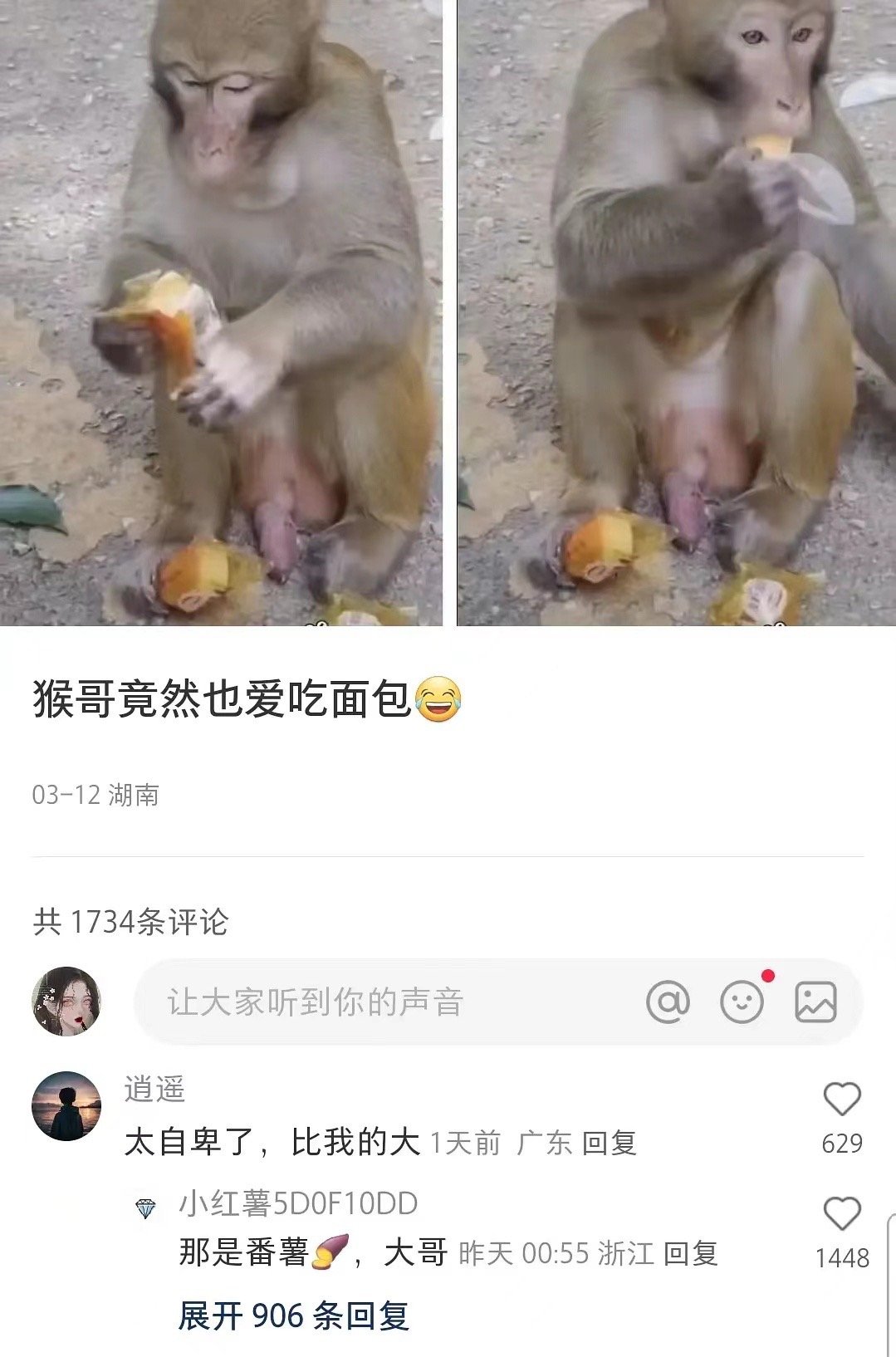 哈哈哈哈哈哈哈笑拉了哈哈哈哈哈哈哈哈哈哈哈这也太自卑了 ​​​