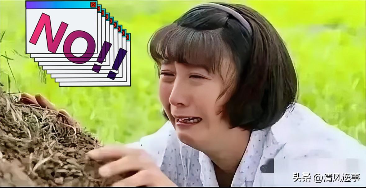 那个“国民媳妇”的人设
这次怕是要碎成渣了。

我也算见过世面，但看到这组数据还