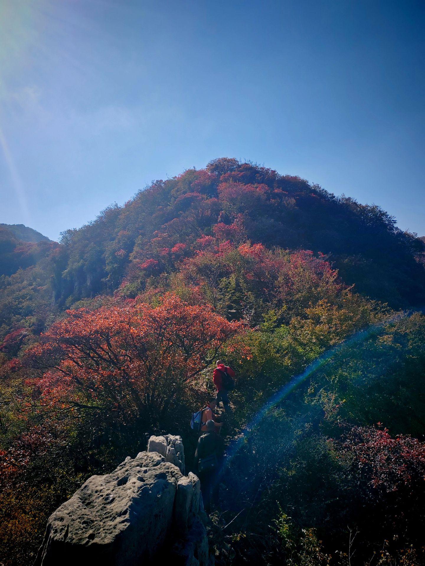 我们的鸡蛋出口欧盟，被测出含有兽药残留被退回，那就是说我们平时一直在吃...