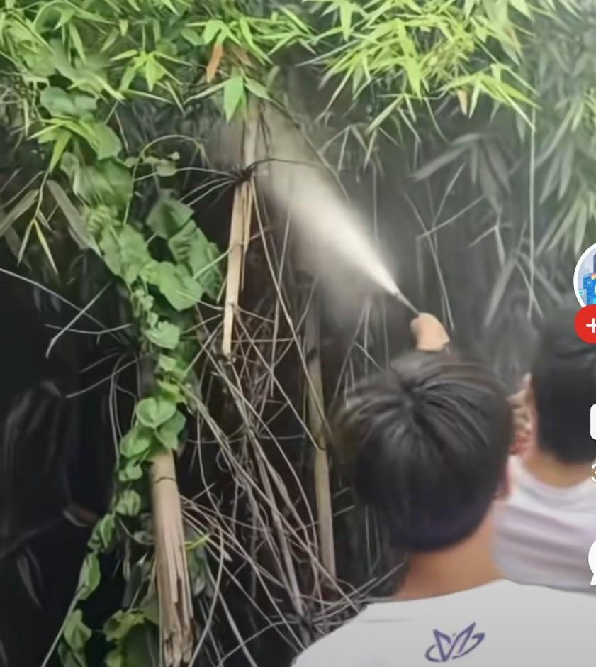 妈妈说儿子帮忙救火，用台球厅灭火器救火后，老板让赔，孩子不敢告诉家长，
从充电瓶