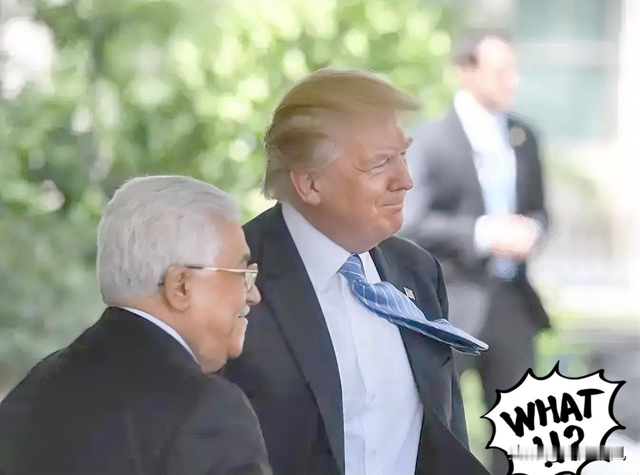 格陵兰岛：在劫难逃背后的咎由自取？
1月10日，特朗普在接受《纽约时报》采访时声