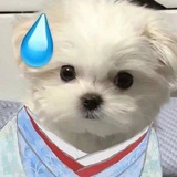 豆腐豆爱谈科技