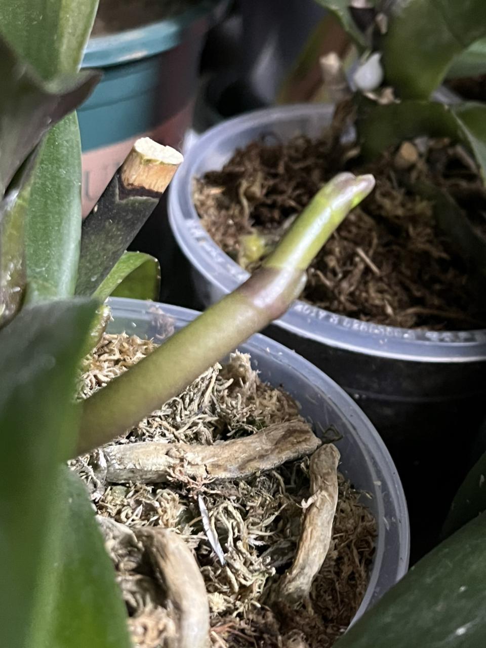 我的今日状态：😁轻松愉快
我这里的天气：☀️晴天

今天天气不错，一早我俩就出