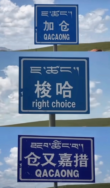 哈哈哈，欢迎自取
