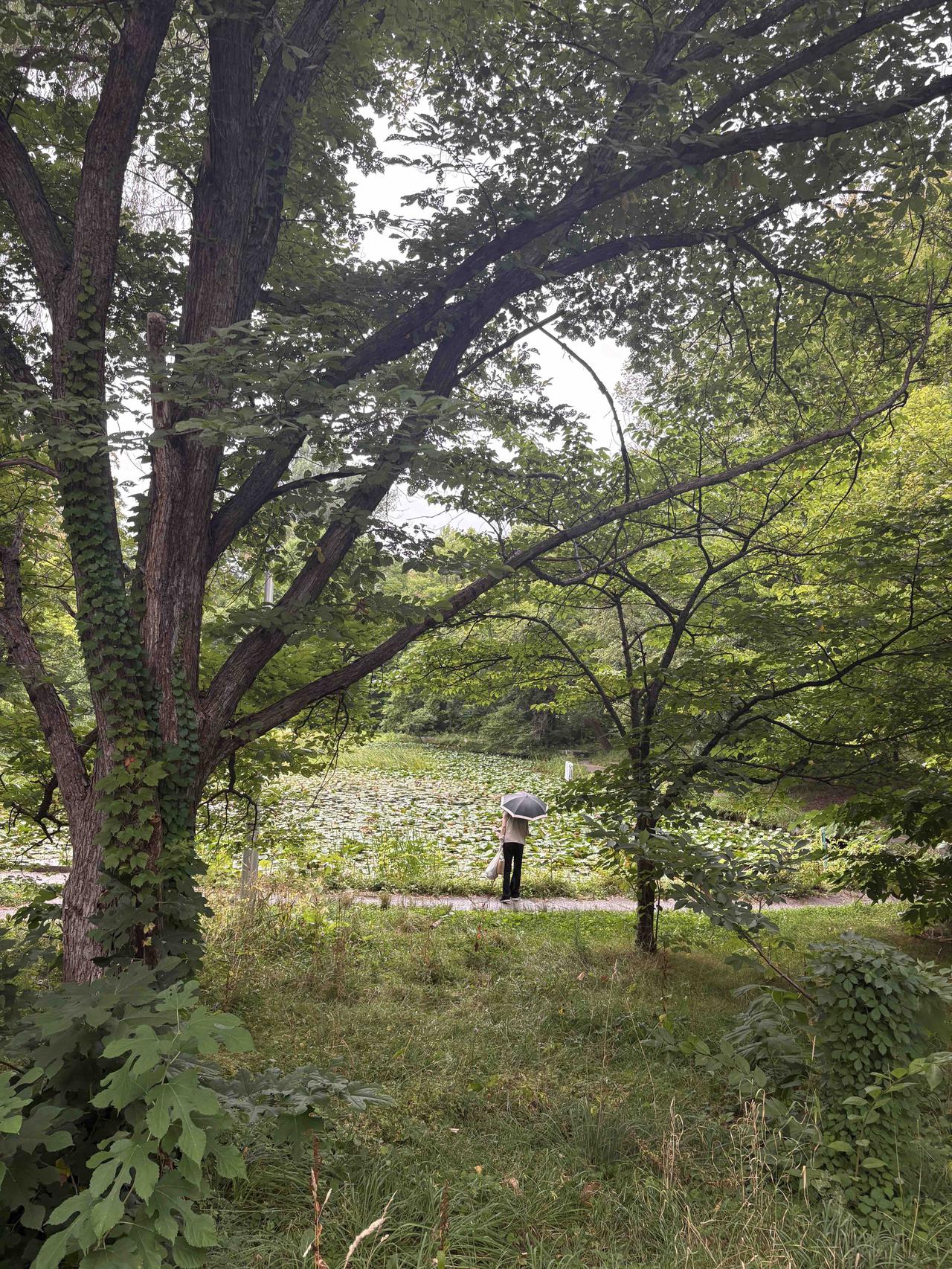 旅游，应该景色，饭菜，住宿，游伴，此四者至少有一种比家里好，旅游才有意义。