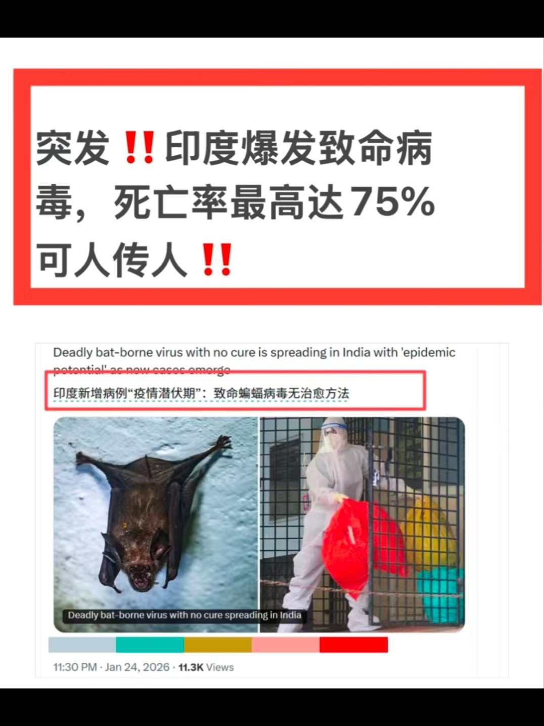 世卫称尼帕病毒或引发全球大流行任何一种病毒如果得不到有效的重视都会出大问题，尼帕