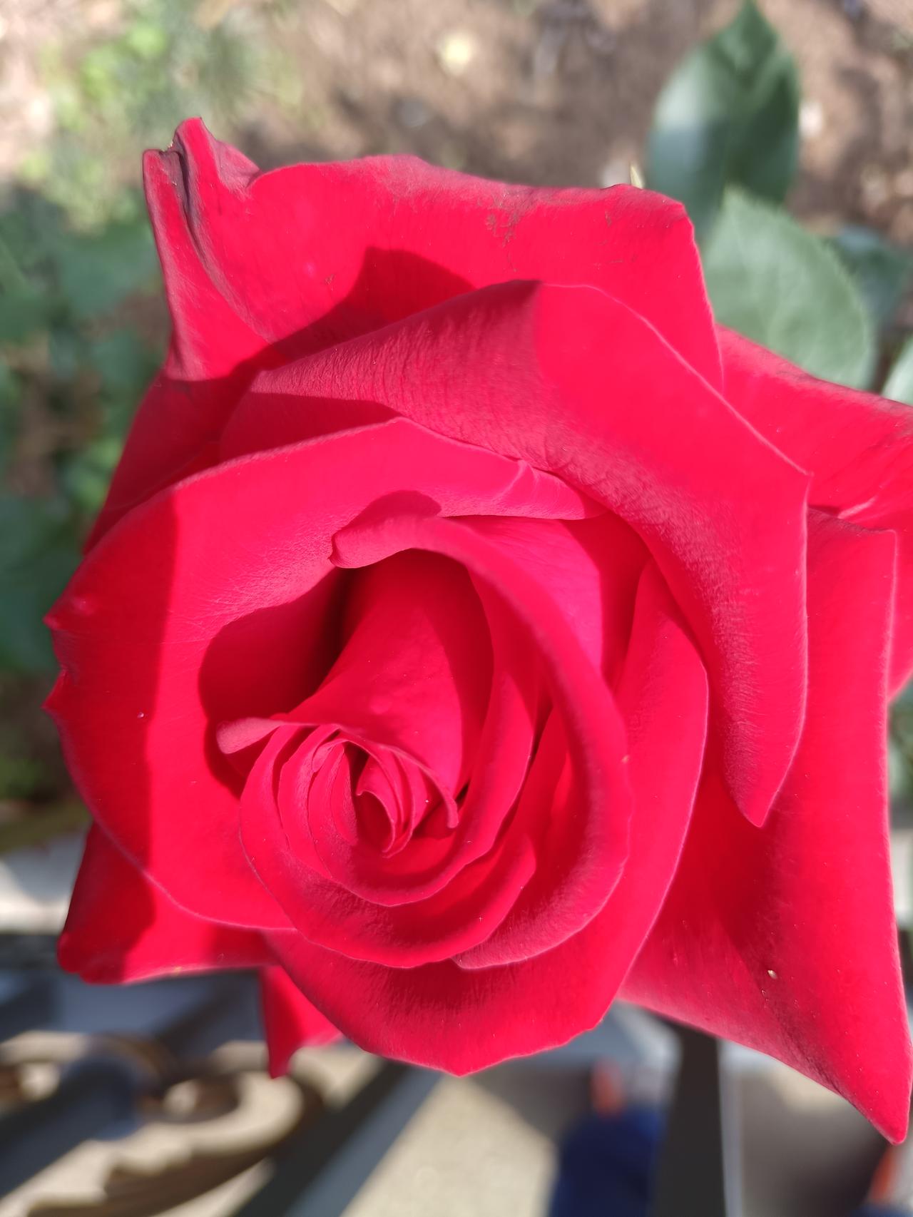 晒出你的本地生活东阳市瓦缸鸡，一道特色有出名，闻着而飘香感到美食。