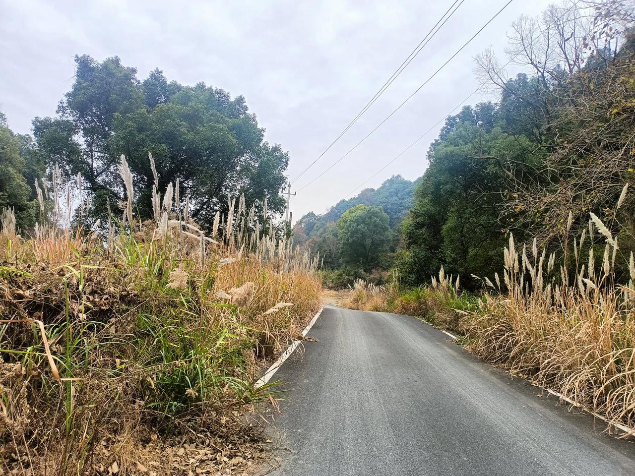 春日生活打卡季