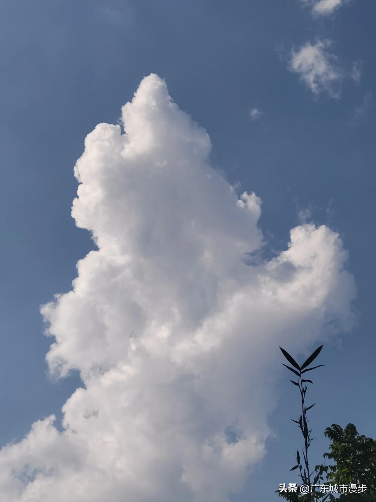天上云景美得治愈，地面骑行热到煎熬，花都这夏天太分裂
你有没有遇见过太阳热浪这种